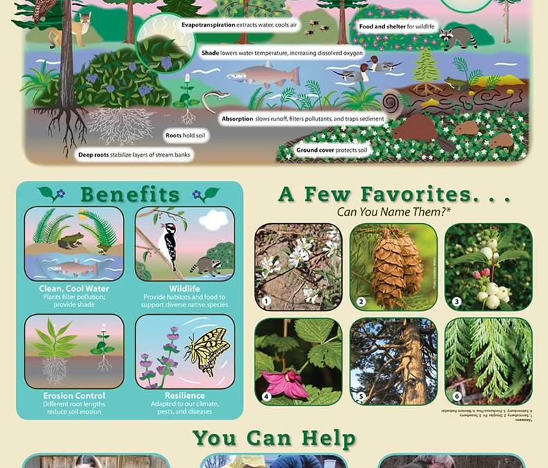 Native Plants Education Poster