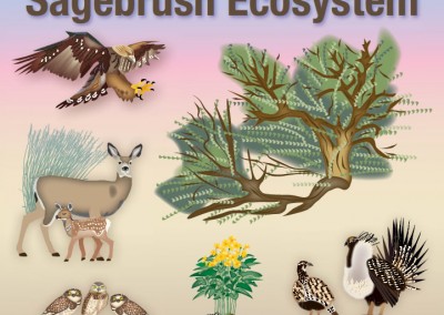 Sagebrush Ecosystem Curriculum