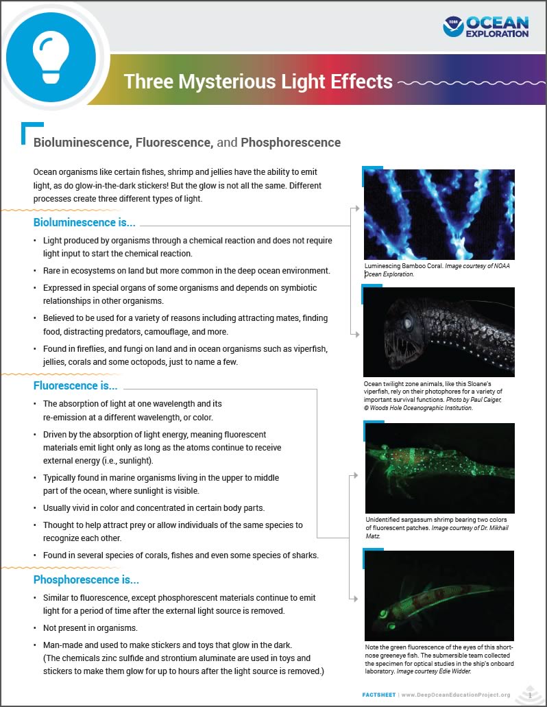 Bioluminescence education resources